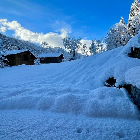 Chalet Birdie Le Grand-Bornand Esterno foto